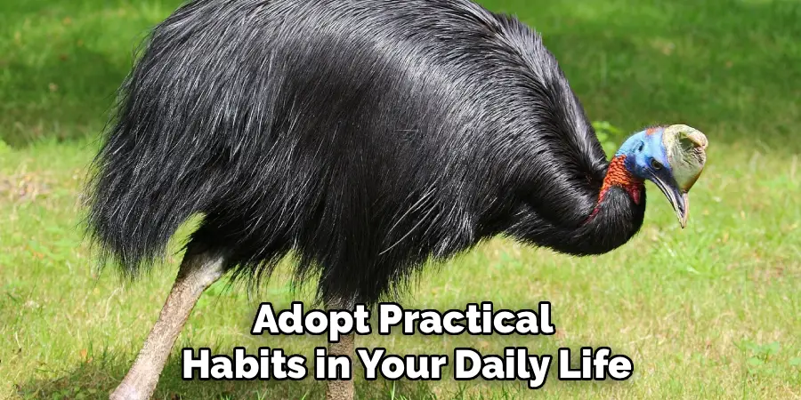 Adopt practical habits in your daily life 