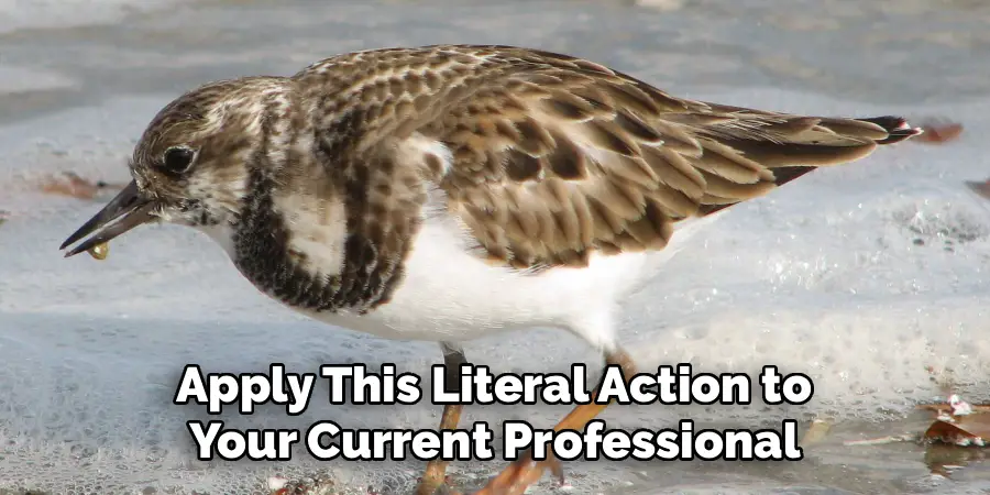 Apply This Literal Action to
Your Current Professional