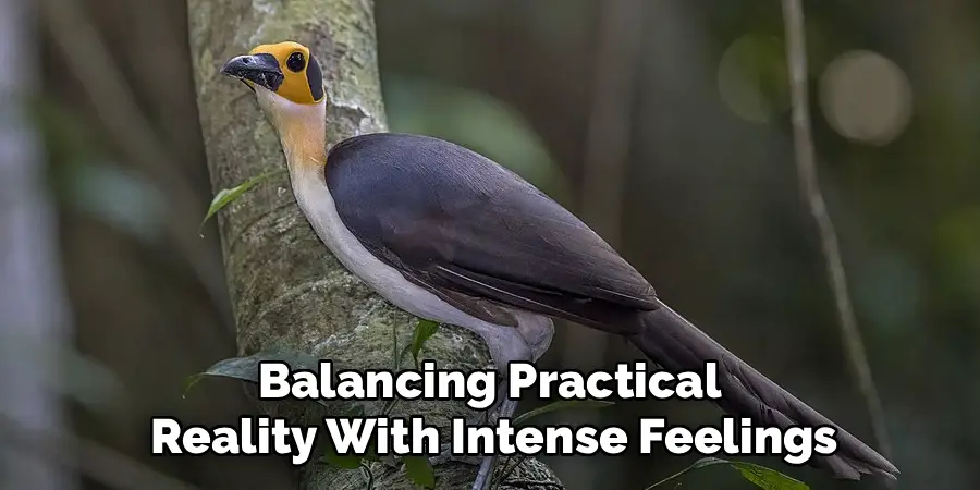Balancing Practical
Reality With Intense Feelings