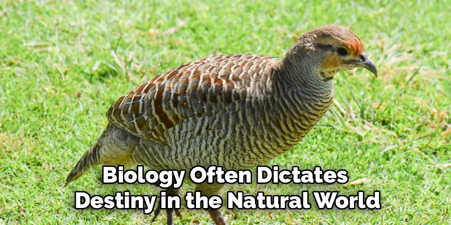 Biology Often Dictates
Destiny in the Natural World