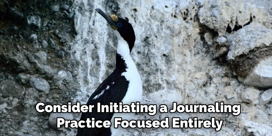 Consider Initiating a Journaling
Practice Focused Entirely