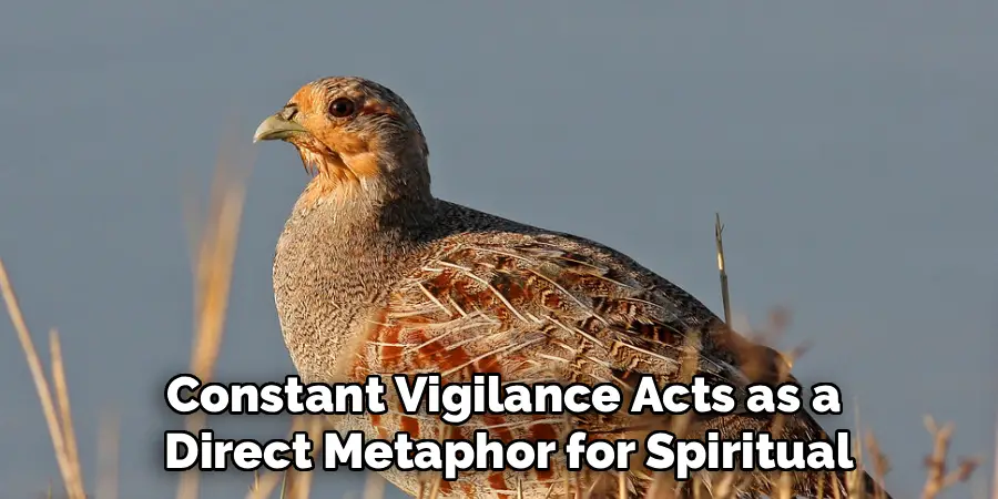 Constant Vigilance Acts as a
Direct Metaphor for Spiritual