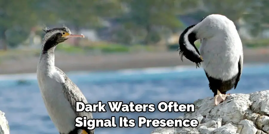 Dark Waters Often
Signal Its Presence