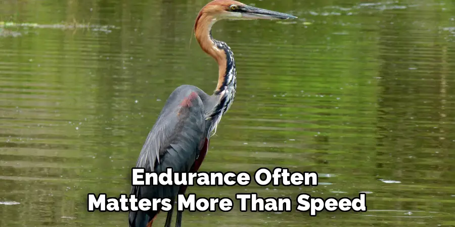 Endurance Often
Matters More Than Speed