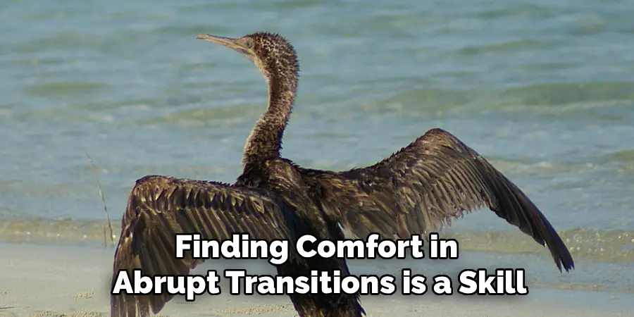 Finding Comfort in 
Abrupt Transitions is a Skill