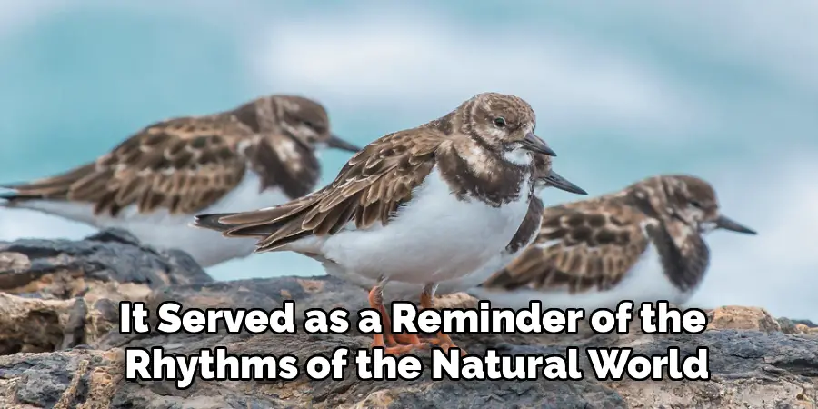 It Served as a Reminder of the
Rhythms of the Natural World