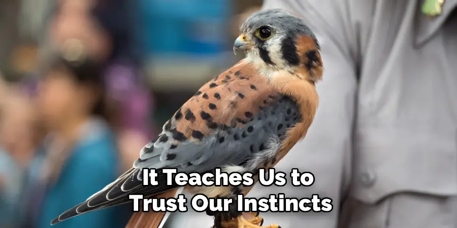 The bird teaches us the value of precise timing