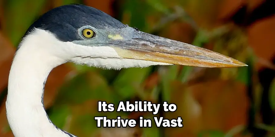 Its Ability to
Thrive in Vast