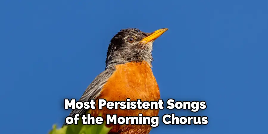 Most Persistent Songs
of the Morning Chorus