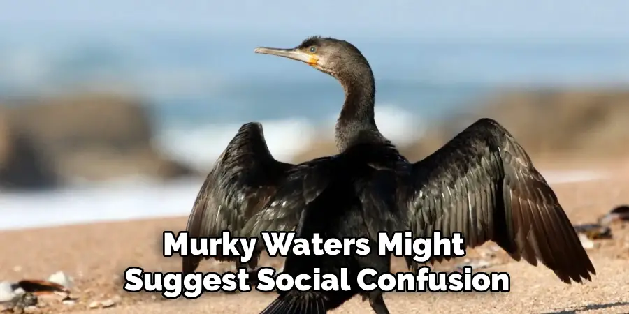 Murky Waters Might 
Suggest Social Confusion
