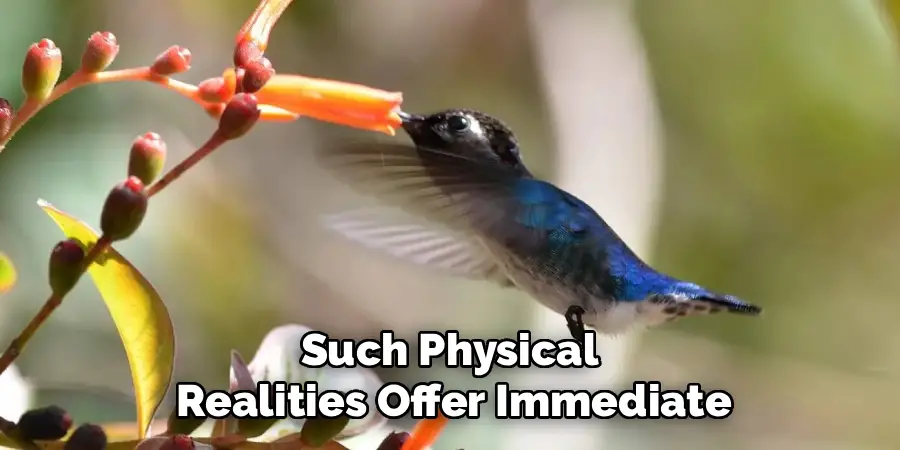 Such Physical 
Realities Offer Immediate