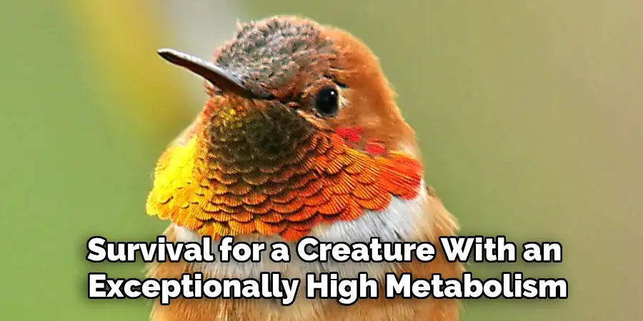 Survival for a Creature With an
Exceptionally High Metabolism