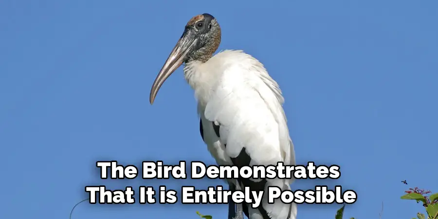 The Bird Demonstrates
That It is Entirely Possible