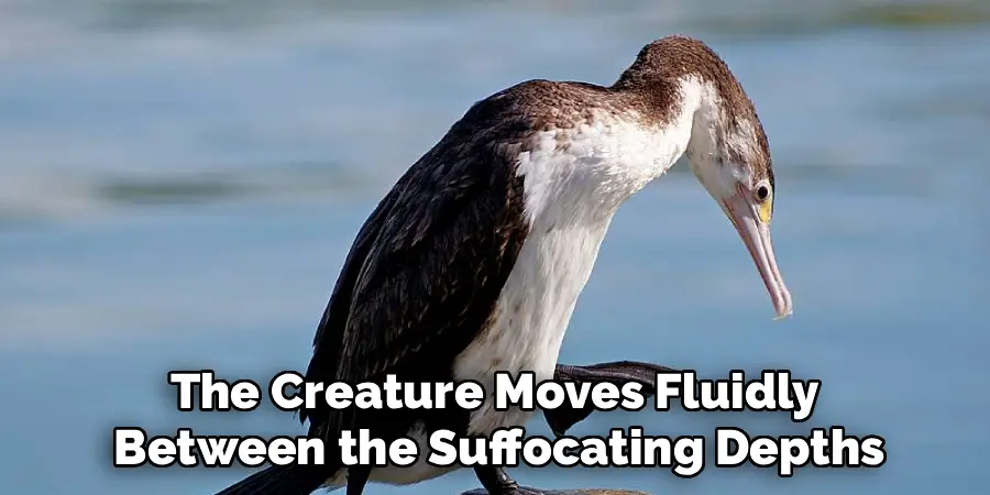 The Creature Moves Fluidly
Between the Suffocating Depths