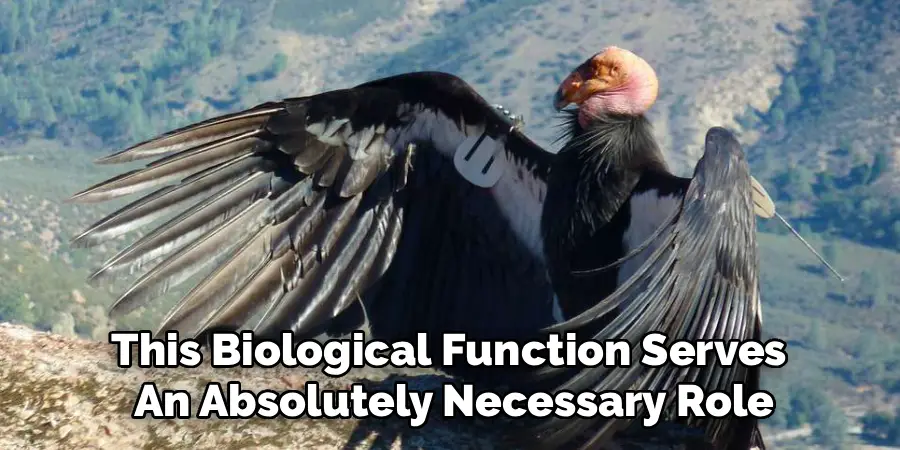 This Biological Function Serves 
An Absolutely Necessary Role