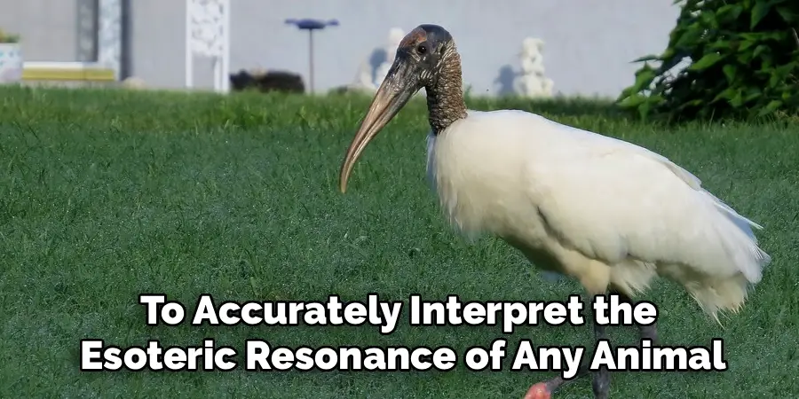 To Accurately Interpret the
Esoteric Resonance of Any Animal