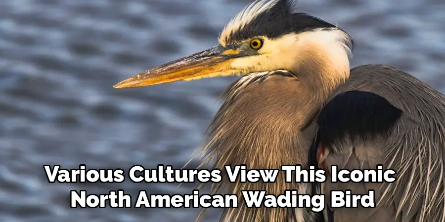 Various Cultures View This Iconic
North American Wading Bird