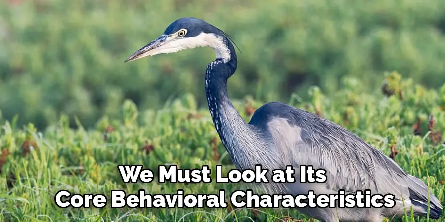 We Must Look at Its
Core Behavioral Characteristics