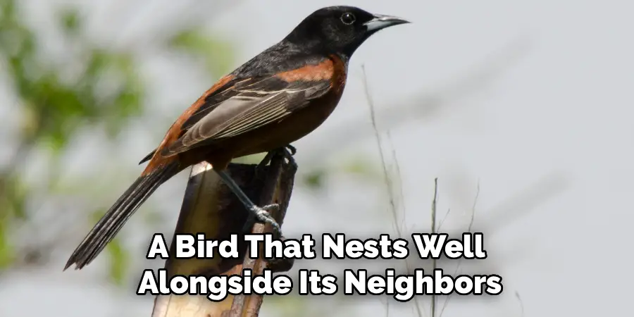 A Bird That Nests Well
Alongside Its Neighbors
