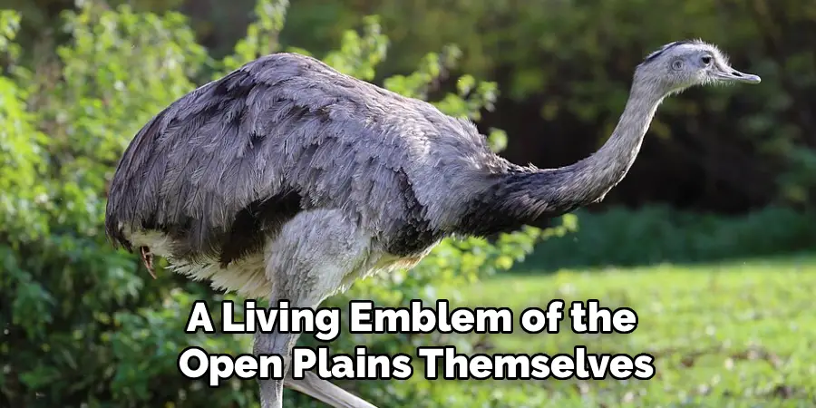 A Living Emblem of the
Open Plains Themselves