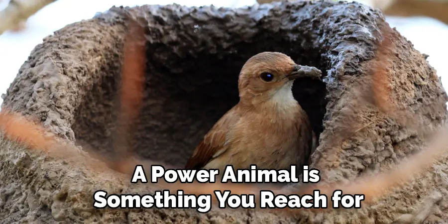A Power Animal is
Something You Reach for