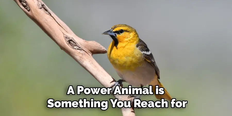 A Power Animal is 
Something You Reach for