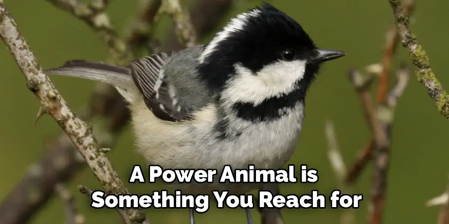 A Power Animal is 
Something You Reach for