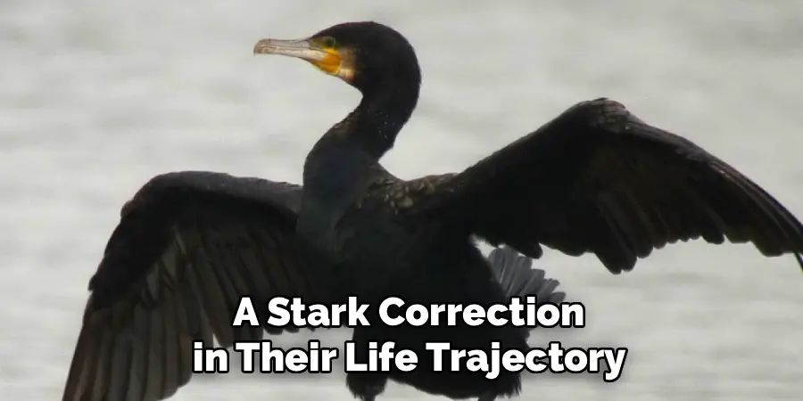  a Stark Correction
 in Their Life Trajectory