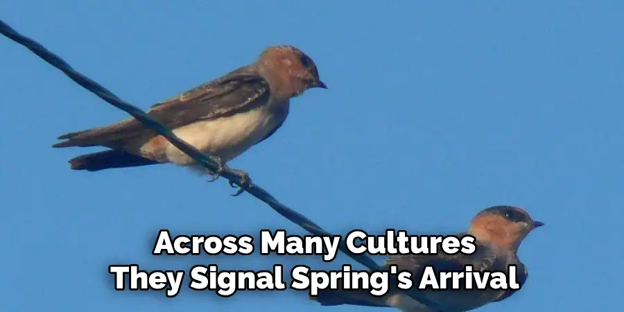 Across Many Cultures
They Signal Spring's Arrival