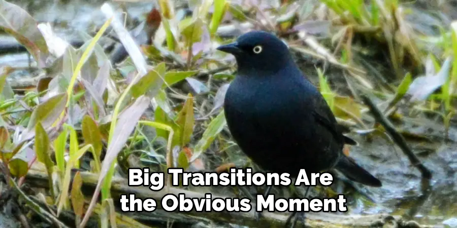 Big Transitions Are
 the Obvious Moment