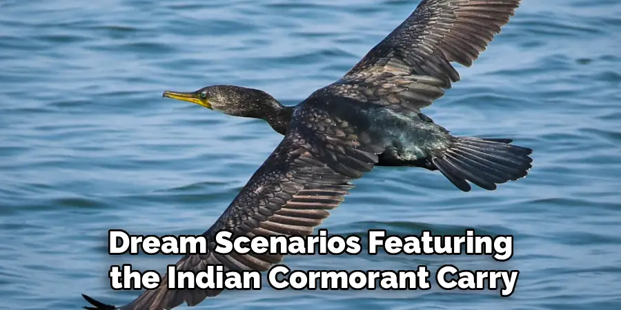 Dream Scenarios Featuring
the Indian Cormorant Carry