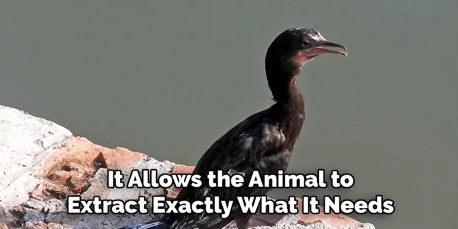 It Allows the Animal to
Extract Exactly What It Needs