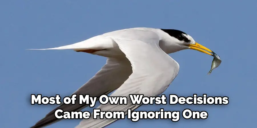 Most of My Own Worst Decisions
 Came From Ignoring One