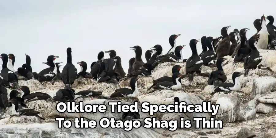 Olklore Tied Specifically 
To the Otago Shag is Thin