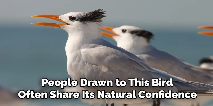 People Drawn to This Bird
Often Share Its Natural Confidence
