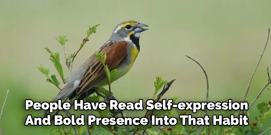 People Have Read Self-expression
And Bold Presence Into That Habit