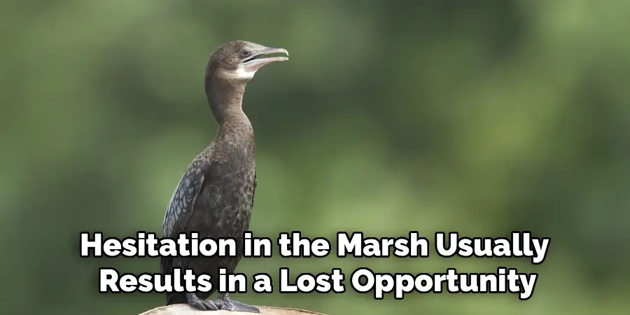 Hesitation in the Marsh Usually 
Results in a Lost Opportunity