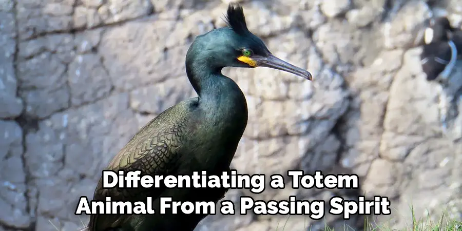 Differentiating a Totem 
Animal From a Passing Spirit
