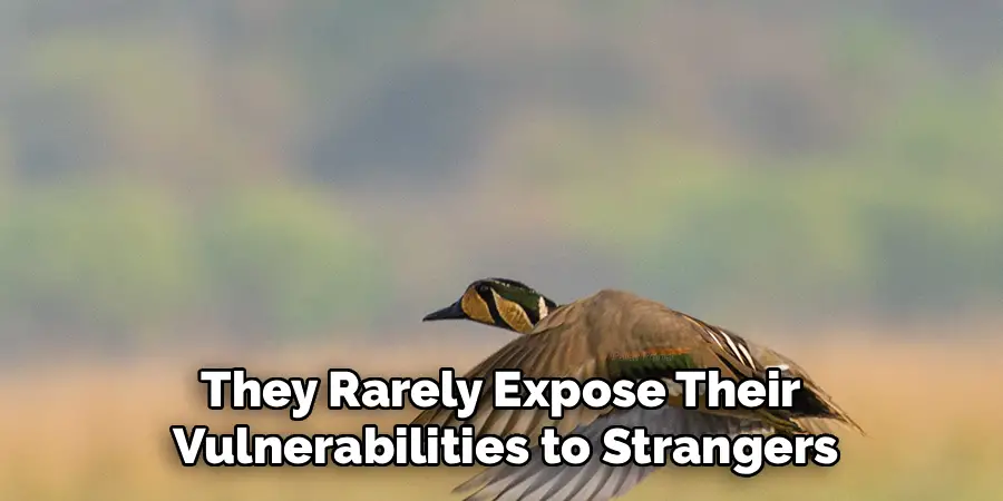 They Rarely Expose Their
Vulnerabilities to Strangers