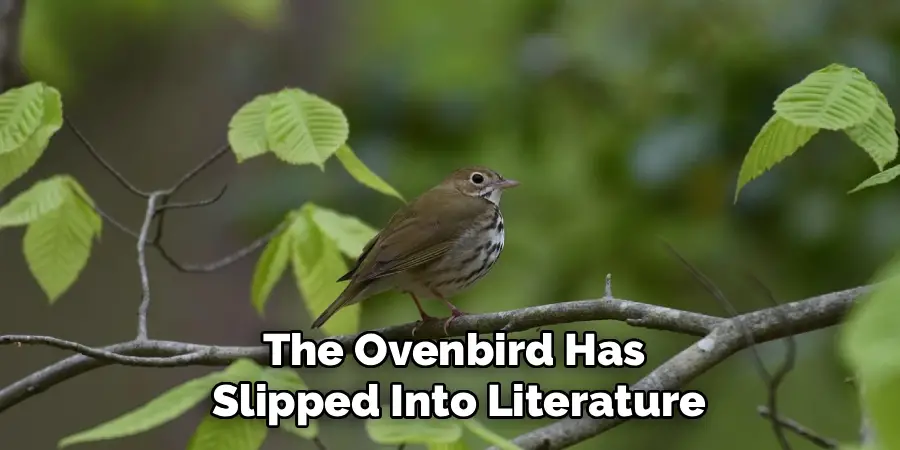 The Ovenbird Has
Slipped Into Literature