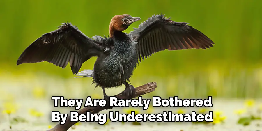  They Are Rarely Bothered 
By Being Underestimated