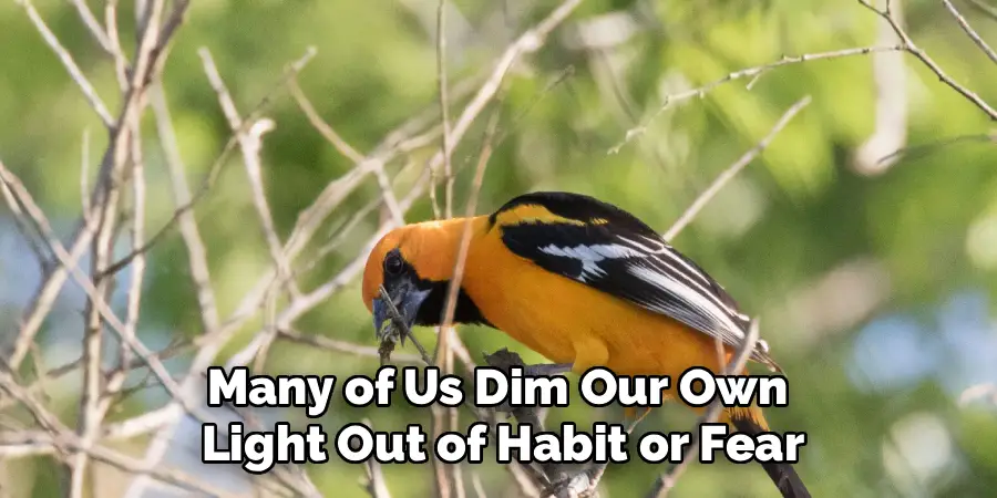 Many of Us Dim Our Own
Light Out of Habit or Fear