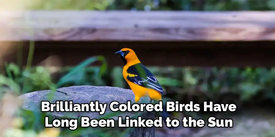 Brilliantly Colored Birds Have
Long Been Linked to the Sun