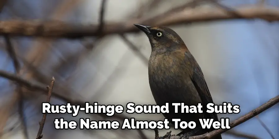 Rusty-hinge Sound That Suits
 the Name Almost Too Well