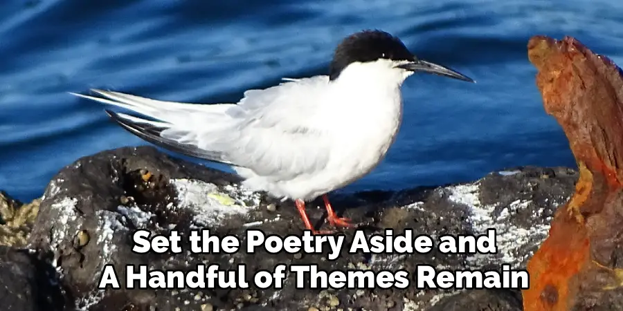 Set the Poetry Aside and
A Handful of Themes Remain