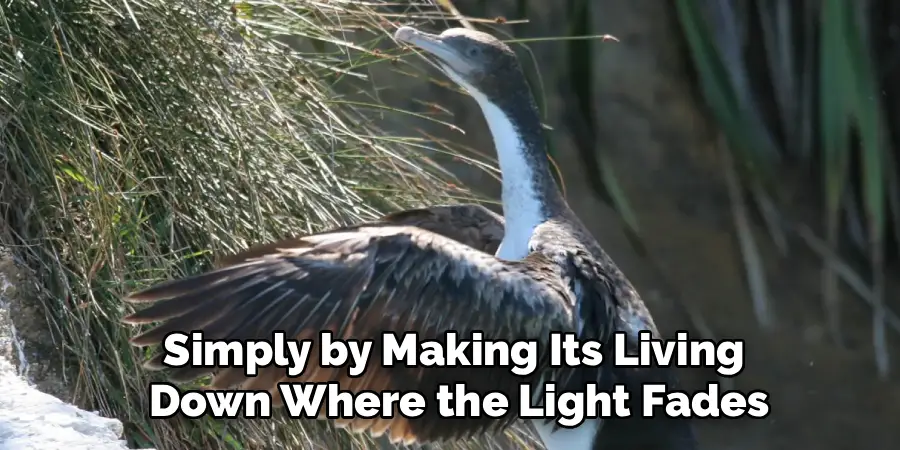 Simply by Making Its Living
 Down Where the Light Fades