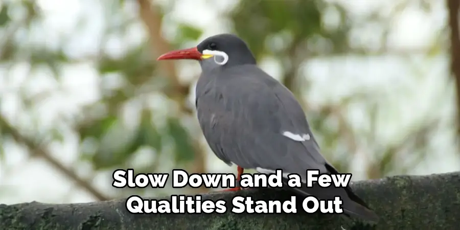 Slow Down and a Few
Qualities Stand Out