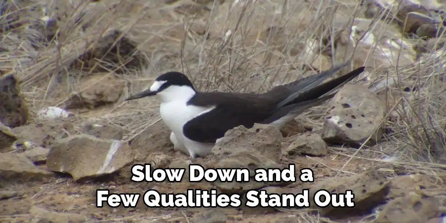 Slow Down and a
Few Qualities Stand Out