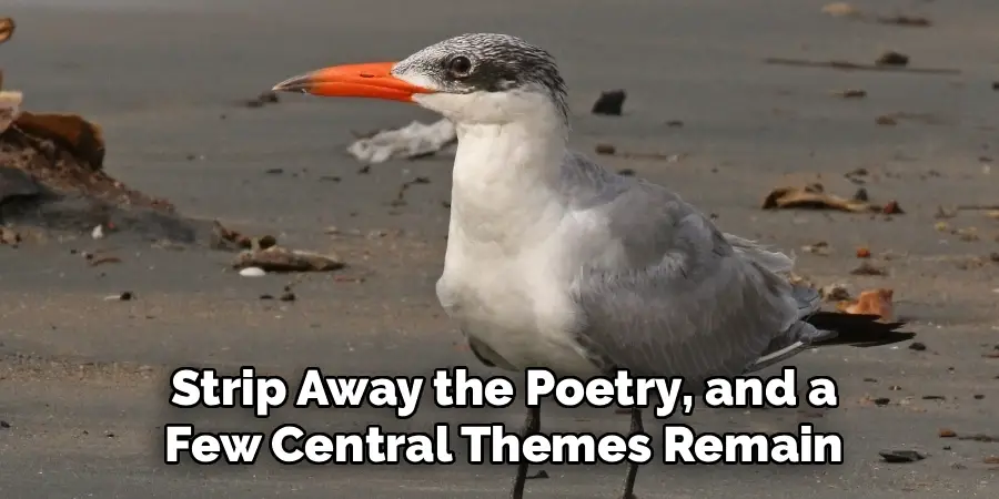 Strip Away the Poetry, and a
Few Central Themes Remain