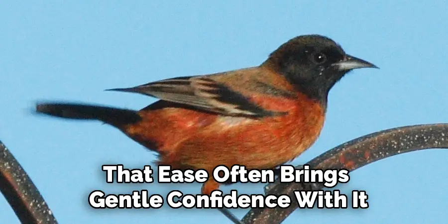 That Ease Often Brings
Gentle Confidence With It